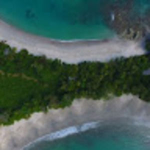 Meet your Posher, Peter